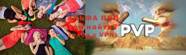 MESCALINE Покачи