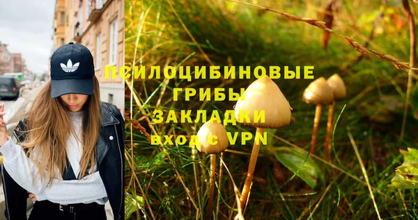 дурь Покров