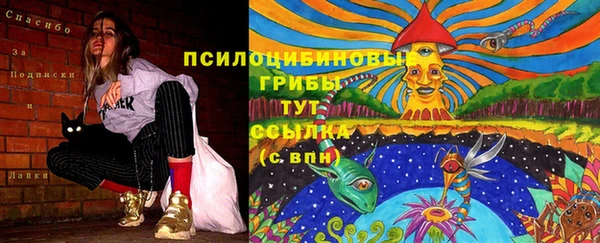 MESCALINE Покачи