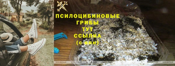 прущая мука Покровск