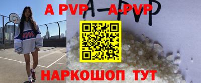 крисы Камышлов