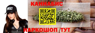 крисы Камышлов