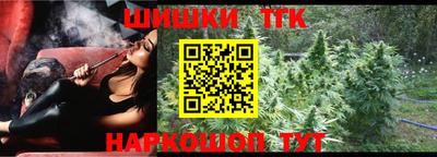 крисы Камышлов