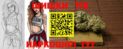 крисы Камышлов