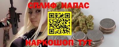 крисы Камышлов