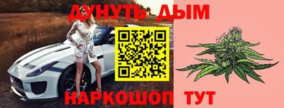 крисы Камышлов