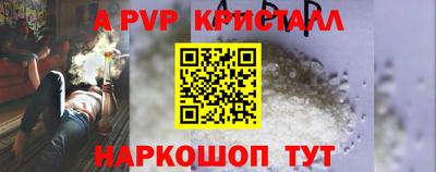 крисы Камышлов
