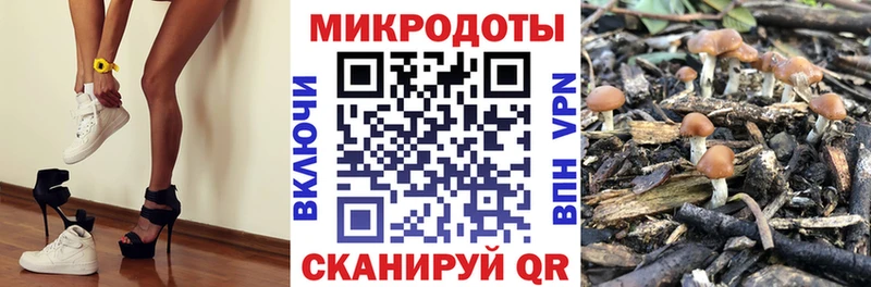 даркнет сайт OMG маркетплейс Галлюциногенные грибы прущие грибы Свободный