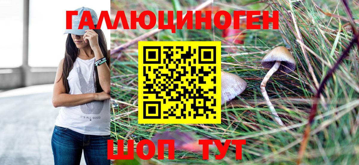 Псилоцибиновые грибы мицелий  Вход с VPN  Свободный 