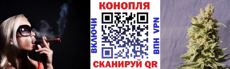 Бошки марихуана план  наркота  Свободный 
